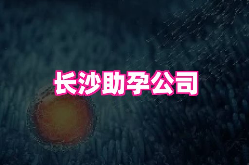 swisee孕网 1