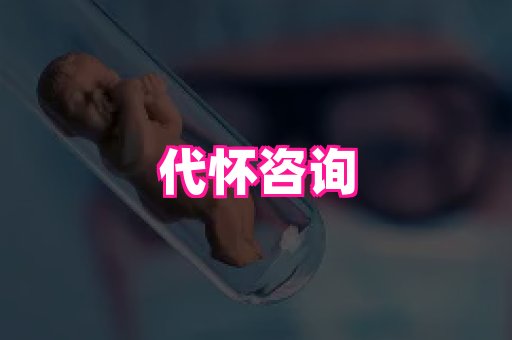 swisee孕网 3