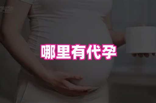 swisee孕网 4